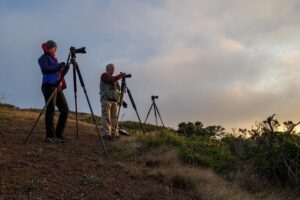 Private San Francisco Sunset Photography Experience - How the Timing Works (and Why the 3:30–5:30 Window Matters)