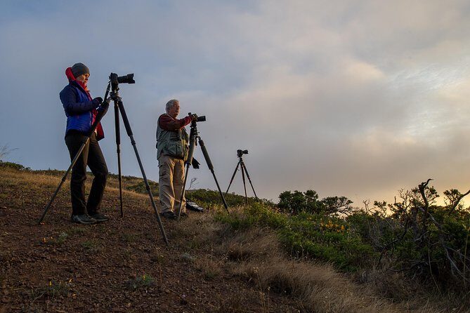 Private San Francisco Sunset Photography Experience - How the Timing Works (and Why the 3:30–5:30 Window Matters)