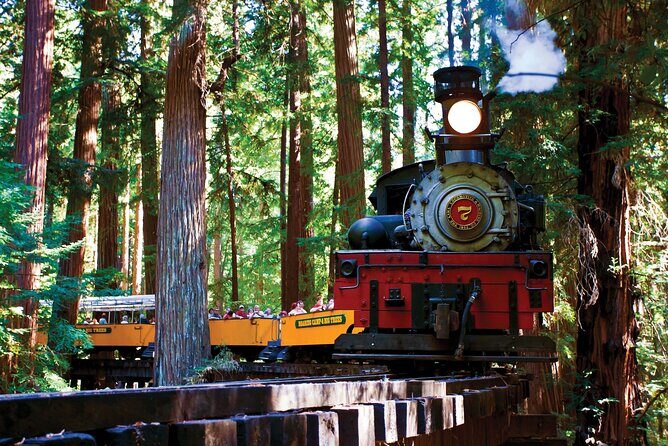 Redwood Forest, Santa Cruz Harbor 1-Day Trip from San Francisco - Key things to know before you go