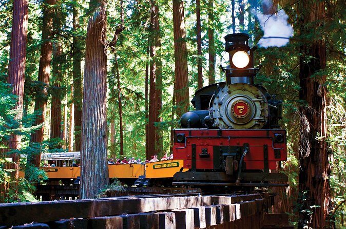 Redwood Forest, Santa Cruz Harbor 1-Day Trip from San Francisco - Price and value: is $223 worth a day like this?