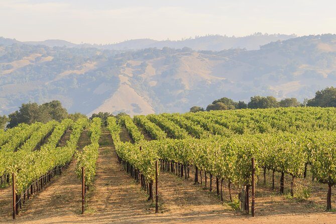 Russian River Weekend Wine Tasting & Gourmet Lunch - Russian River Valley tastings: what you’ll actually be drinking