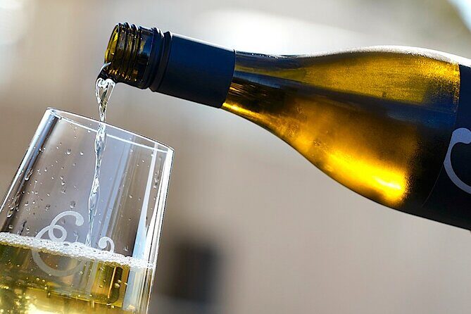 Russian River Weekend Wine Tasting & Gourmet Lunch - Price and value: what $234 covers, and why it still makes sense