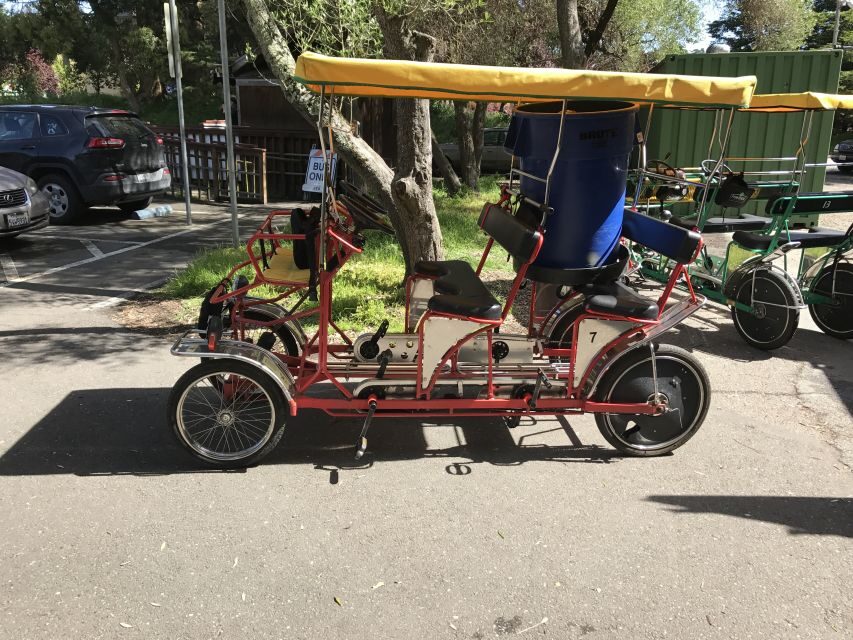 San Fancisco: Golden Gate Park Surrey Rental - Key things to know before you ride
