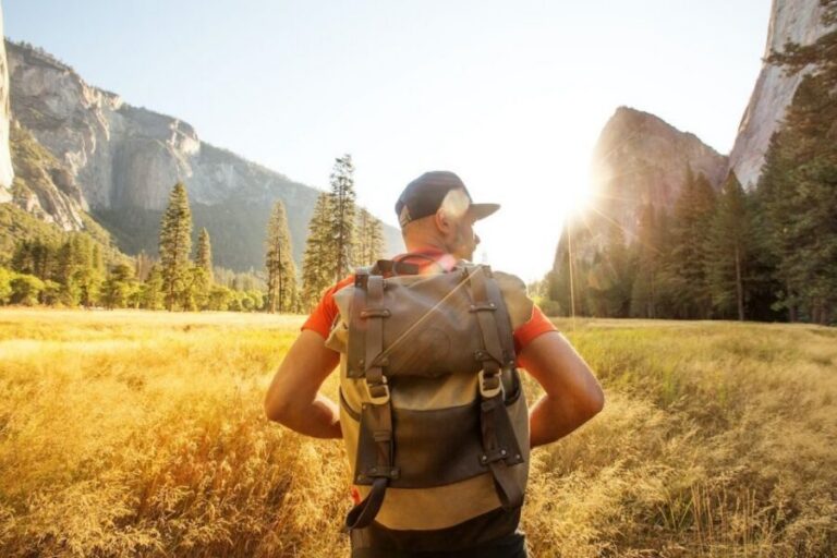 San Francisco: 2-Day National Park Tour with Yosemite Lodge - Price and what $649 covers (and why it can be fair)