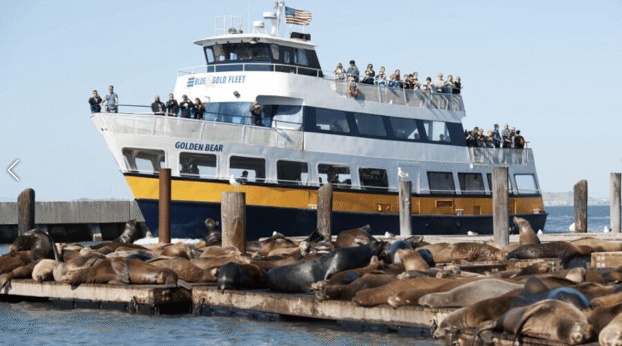 San Francisco: Alcatraz Island Prison Tour with Bay Cruise - Price and Value: Does $132 Make Sense?