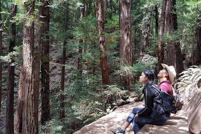 San Francisco: Armstrong Redwoods and Wine Tour with Tastings - From 99 Jefferson St at 8:30 am to Fisherman’s Wharf: The Route Matters