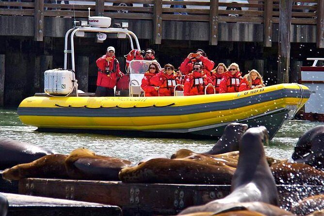 San Francisco Bay Adventure Sightseeing Cruise - Stop 1: Pier 39, where the Bay adventure starts