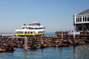 San Francisco Bay Cruise - Pier 39 Sea Lions and Waterfront Photo Stops