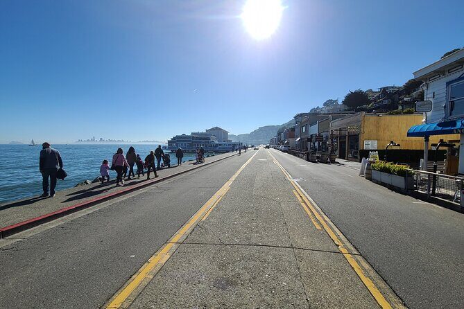 San Francisco Bay Cruise, Muir Woods and Sausalito Combo Tour - Muir Woods National Monument: 80 minutes with coastal sequoias