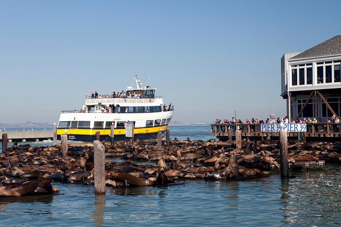 San Francisco Bay Cruise - Pier 39 Sea Lions and Waterfront Photo Stops