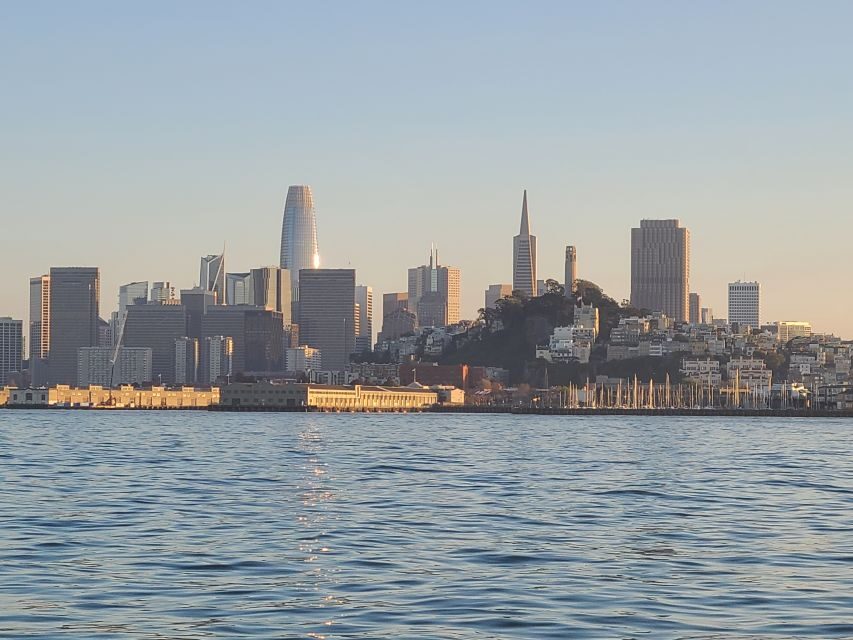 San Francisco: City Cruises Buffet Lunch or Dinner Cruise - Lunch Buffet vs Dinner Cruise: Menus and Atmosphere