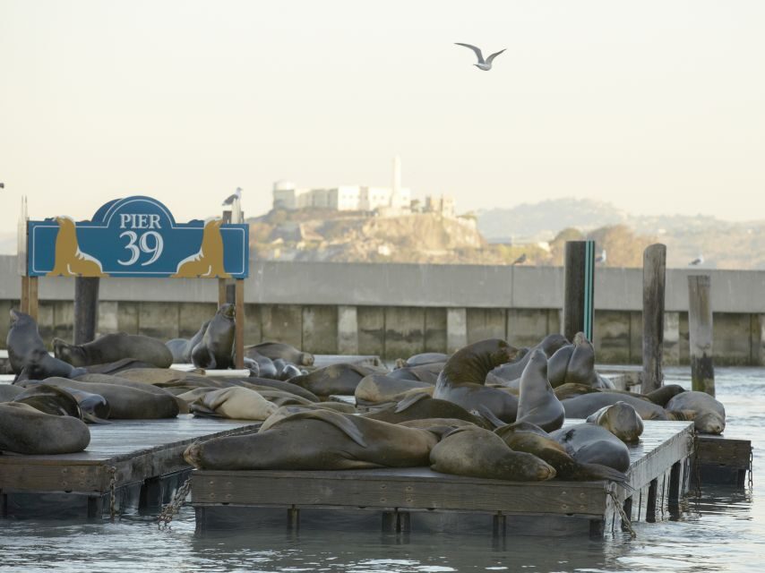 San Francisco CityPASS®: Save 46% at 4 Top Attractions - What Makes Each Included Attraction Worth Your Time