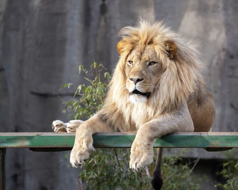 San Francisco CityPASS®: Save 46% at 4 Top Attractions - Value Check: Does $89 Really Pay Off?