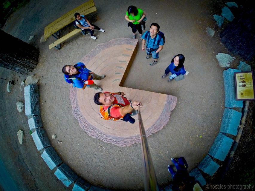 San Francisco: Day Trip to Yosemite with Giant Sequoias Hike - Key things that make this Yosemite day trip work