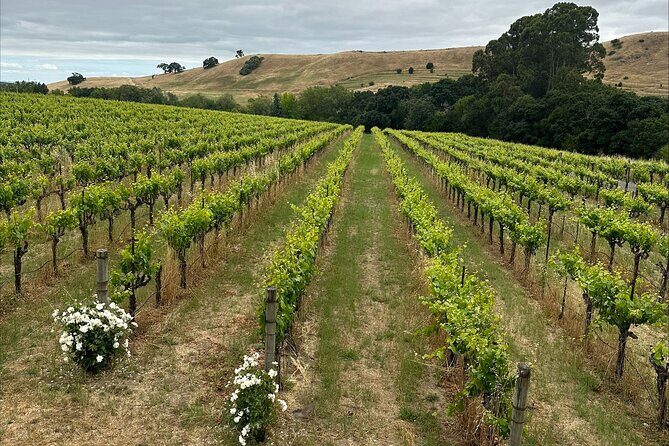 San Francisco: Full Day Coastal Redwoods & Wine Country Tour - Russian River Vineyards: Relaxed Wine Tasting With Vineyard Views