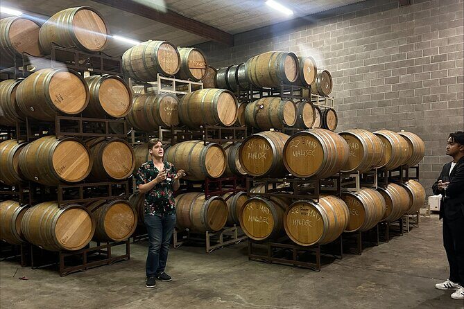 San Francisco: Full Day Coastal Redwoods & Wine Country Tour - Price and Value: What $143.65 Buys You in a Single Day