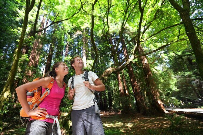 San Francisco: Full Day Coastal Redwoods & Wine Country Tour - Who Should Book This Tour, and Who Might Want to Skip It