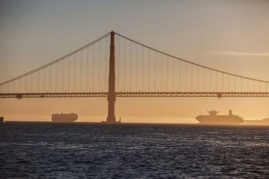 San Francisco: Golden Gate Bridge Catamaran Cruise - Sea lions and wildlife spotting: how to actually get eyes on them