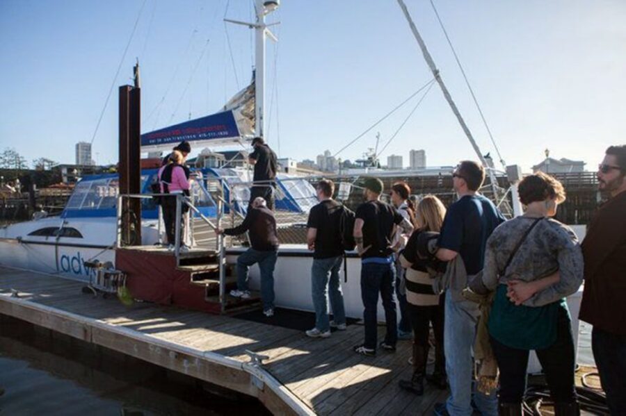 San Francisco: Golden Gate Bridge Catamaran Cruise - Protected viewing vs the trampoline nets: choose your adventure level
