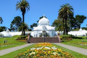 San Francisco Golden Gate Park Tour - The guide factor: Ryan Curtis and the stories that make plants stick