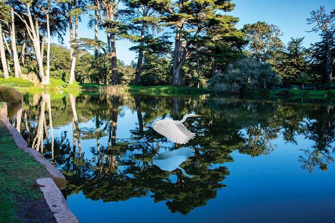 San Francisco Golden Gate Park Tour - Looping lakes, plazas, and memorial moments on the route