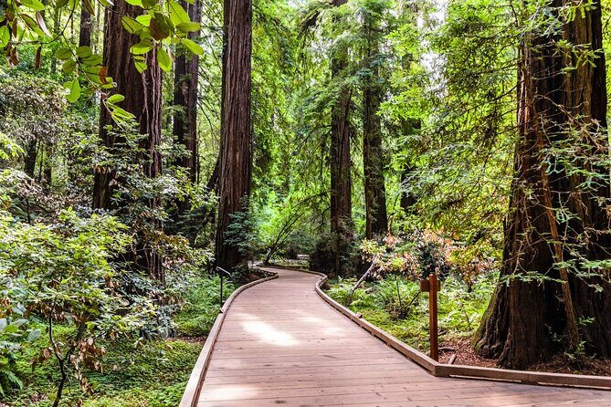 San Francisco, Golden Gate, Sausalito and Muir Woods Private Tour - Sausalito: Bay Views, Town Stroll, and a Real Lunch Stop