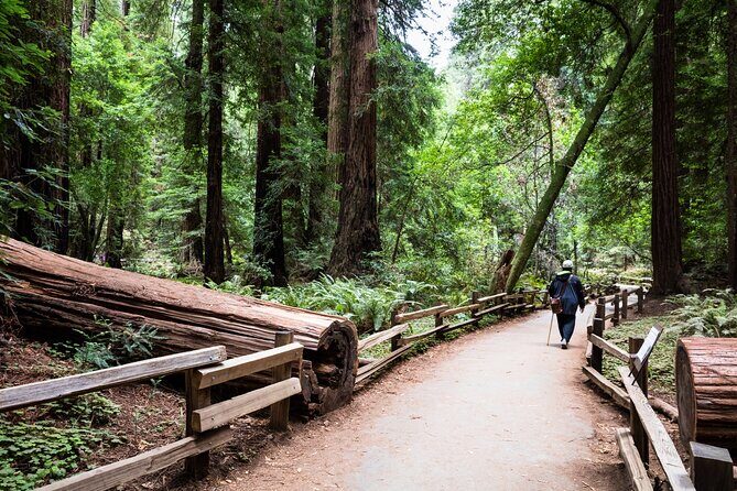 San Francisco, Golden Gate, Sausalito and Muir Woods Private Tour - The Morning Flow: From Fisherman’s Wharf to City Icons