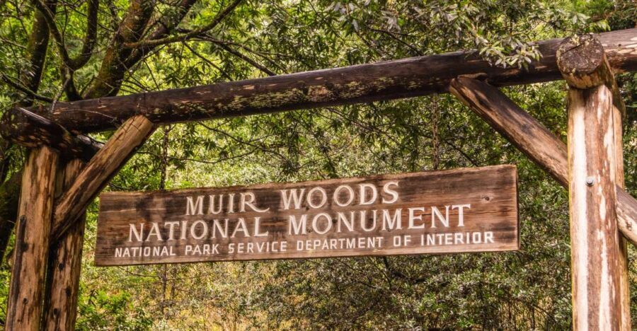 San Francisco Golden Gate Sausalito Muir Woods Private Tour - Golden Gate Park: Tea Garden, Stow Lake, Bison Paddock
