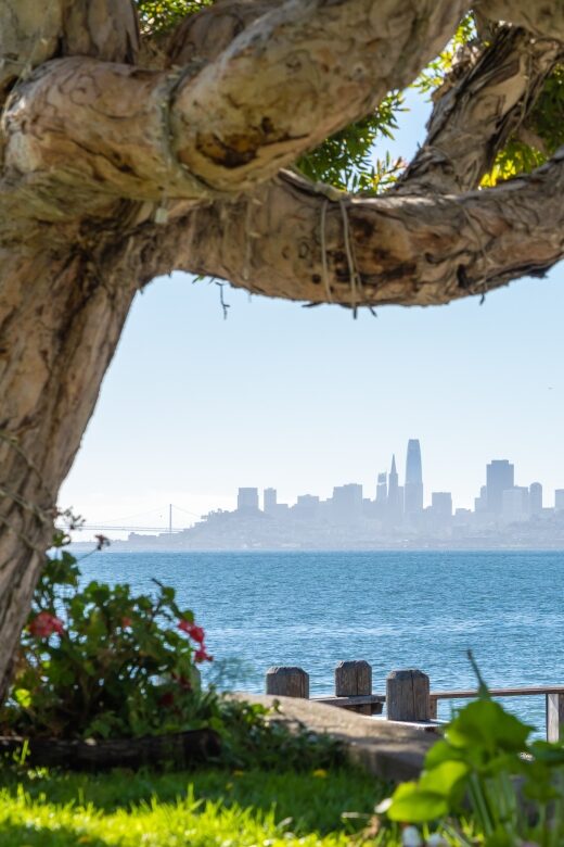 San Francisco Golden Gate Sausalito Muir Woods Private Tour - Muir Woods National Monument: Ancient Redwood Trail Time
