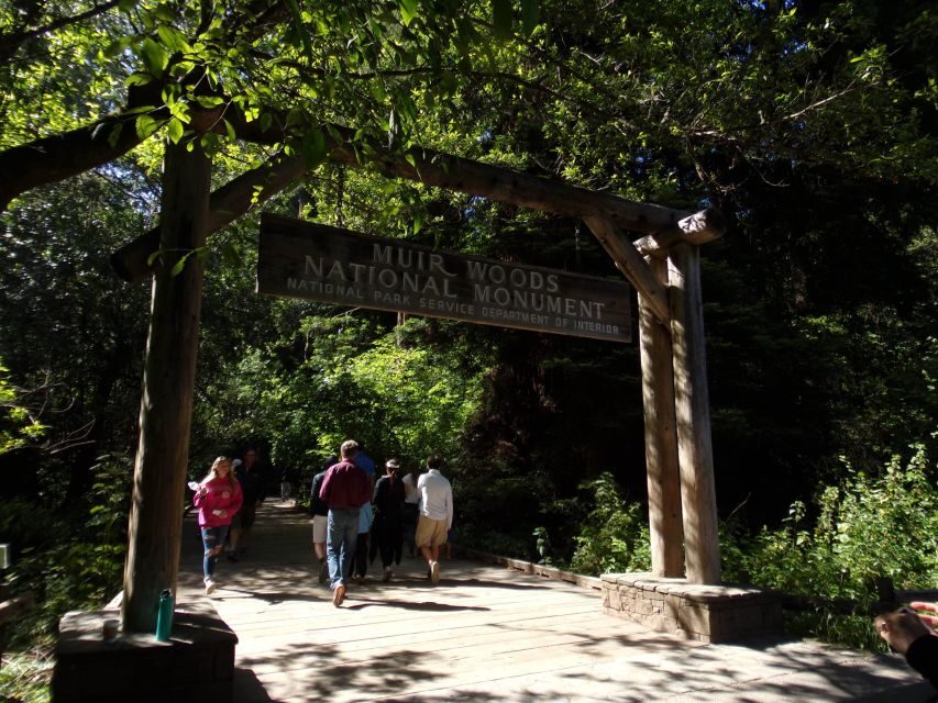 San Francisco Grand City Tour + Muir Woods and Sausalito - 90 Minutes at Muir Woods: How to Make the Most of Redwood Creek Trails