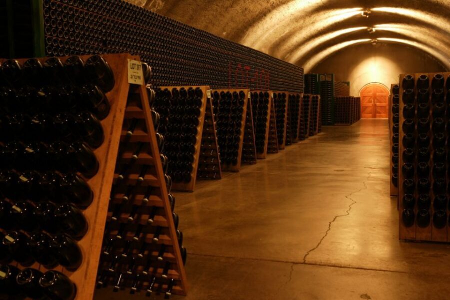 San Francisco: Guided Coastal Redwoods & Wine Country Tour - Who this tour suits best (and who should rethink it)