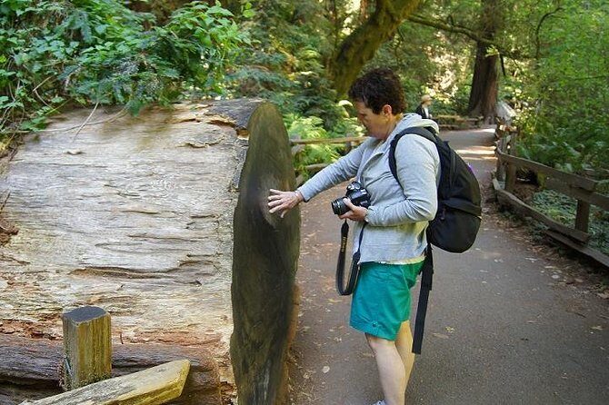 San Francisco: Guided Muir Woods Tour & Hop-on Hop-off Bus Tour - Sunset panoramic tour: timing for the Bay light