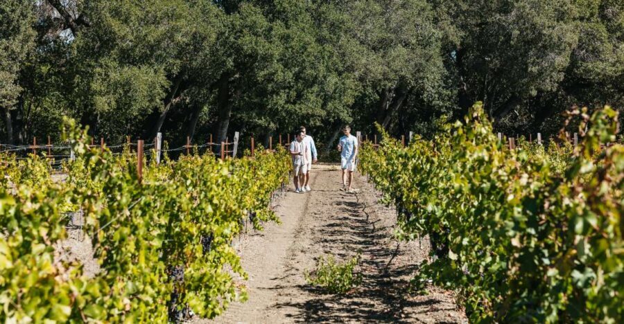 San Francisco: Half-Day Wine Country Excursion with Tastings - Winery Estate Stop #1: The Barrel Room and the How-It’s-Made Part