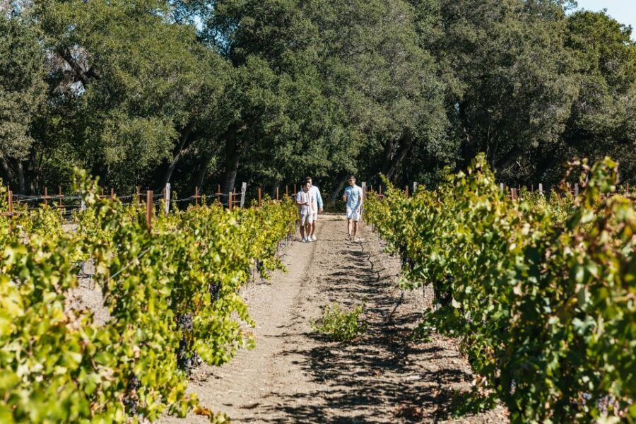 San Francisco: Half-Day Wine Country Excursion with Tastings - How Many Wines Will You Try (And How to Pace Yourself)