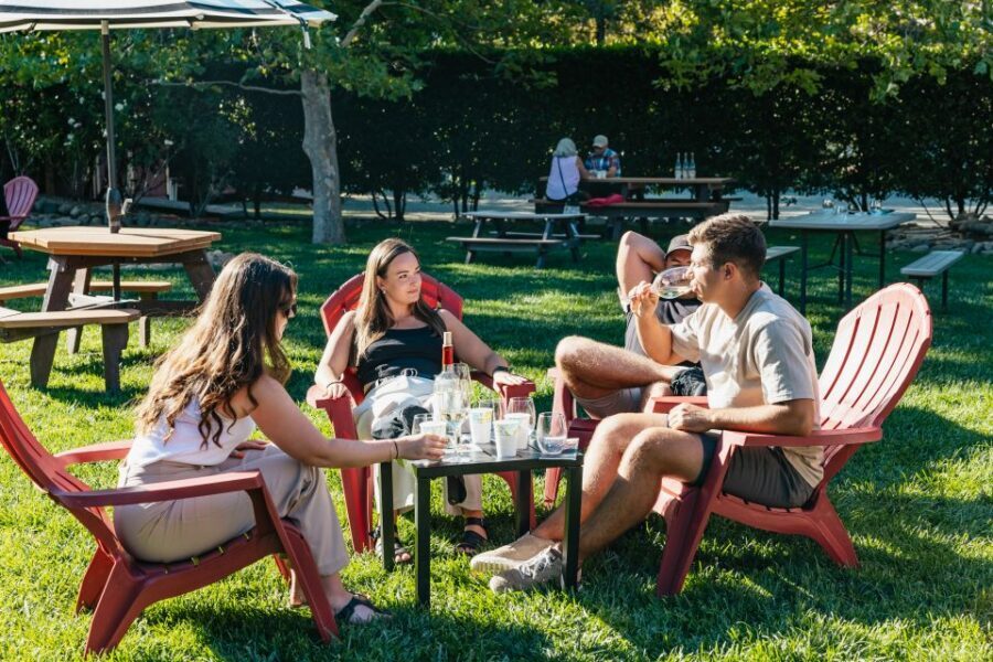 San Francisco: Half-Day Wine Country Excursion with Tastings - Group Tour Reality: Time, Comfort, and the Pace