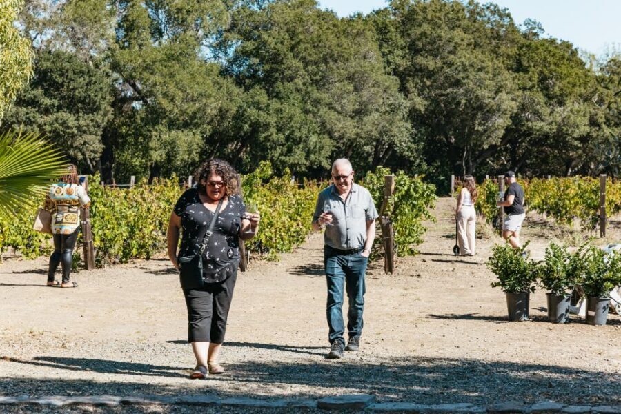 San Francisco: Half-Day Wine Country Excursion with Tastings - Transportation and Timing: Why the Afternoon Start Helps
