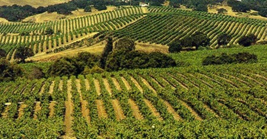 San Francisco: Half-Day Wine Country Tour with Wine Tastings - From Fisherman’s Wharf to the Golden Gate: the drive that sets the tone