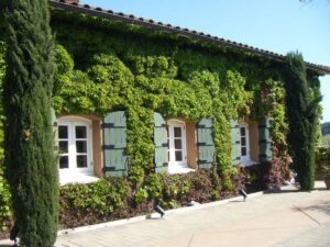 San Francisco: Half-Day Wine Country Tour with Wine Tastings - Sausalito and Marin County: quick stops, big coastal vibes
