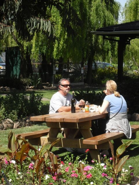 San Francisco: Half-Day Wine Country Tour with Wine Tastings - Napa Valley winery tasting: how the day turns into wine country education