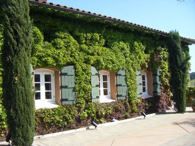 San Francisco: Half-Day Wine Country Tour with Wine Tastings - Sausalito and Marin County: quick stops, big coastal vibes
