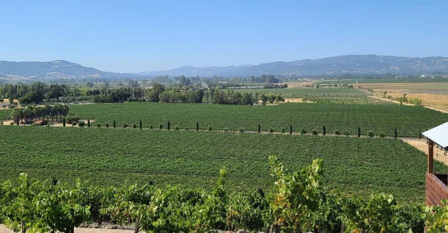 San Francisco: Half-Day Wine Tour with 2 Tastings Included - Key things to know before you go