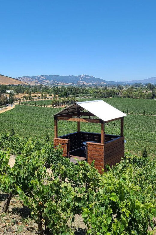 San Francisco: Half-Day Wine Tour with 2 Tastings Included - San Francisco to Marin County Vista Point: the view starts before wine