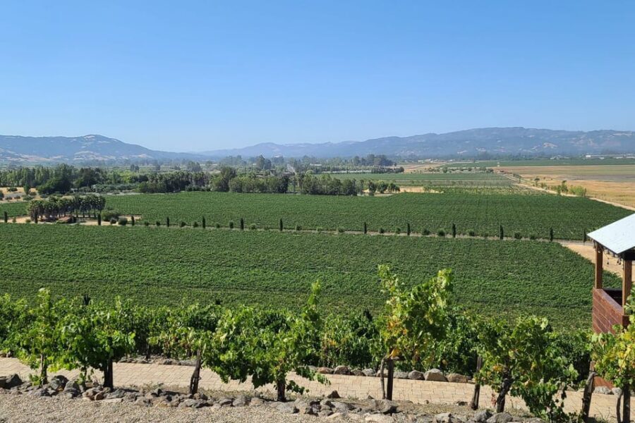 San Francisco: Half-Day Wine Tour with 2 Tastings Included - Sonoma Valley in about 35 minutes: what the first-winery story adds