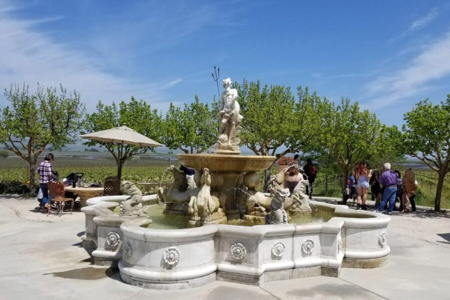 San Francisco: Half-Day Wine Tour with 2 Tastings Included - Timing, traffic, and the reality of a half-day tour that can run long