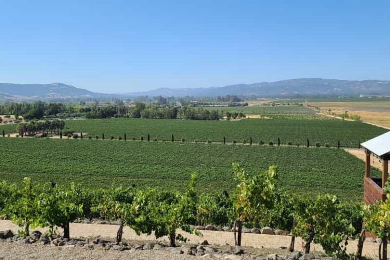 San Francisco: Half-Day Wine Tour with 2 Tastings Included - The Sausalito stretch: why this drive feels like a mini tour by itself