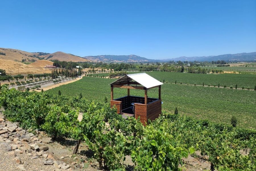 San Francisco: Half-Day Wine Tour with 2 Tastings Included - Price and what you’re really getting for $189