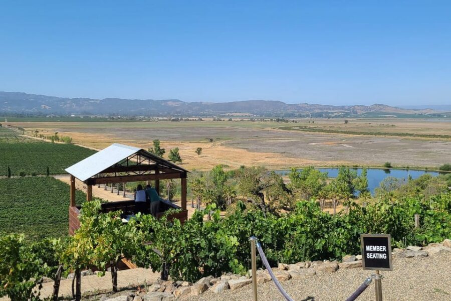 San Francisco: Half-Day Wine Tour with 2 Tastings Included - Who this Sonoma half-day tour suits best (and who should skip it)
