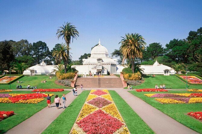 San Francisco Highlights Private 3-Hour Driving Tour - Private driving tour with smartphone navigation: what you’re signing up for