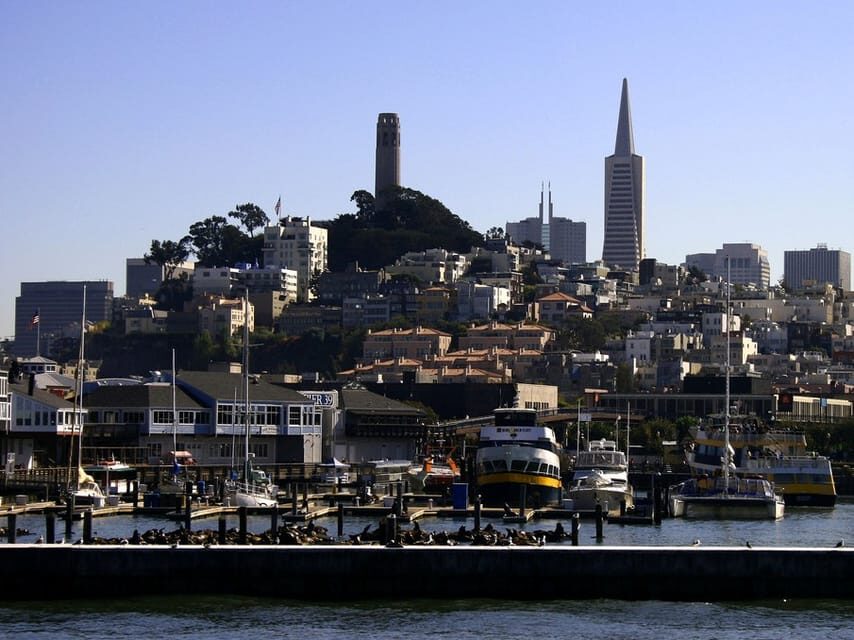San Francisco: Hop-On Hop-Off City Bus Tour and Bay Cruise - Fisherman’s Wharf, Union Square, City Hall: Use the Stops Like Bookmarks