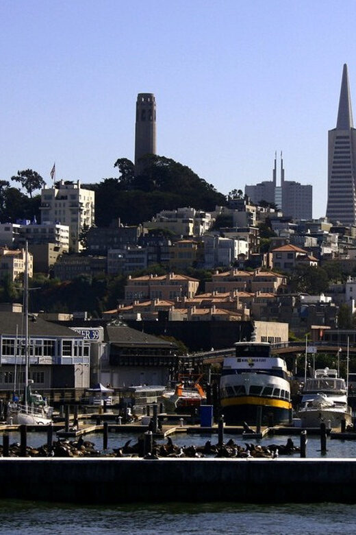 San Francisco: Hop-On Hop-Off City Bus Tour and Bay Cruise - Chinatown, North Beach, and the Embarcadero: Neighorhood Stops That Actually Help